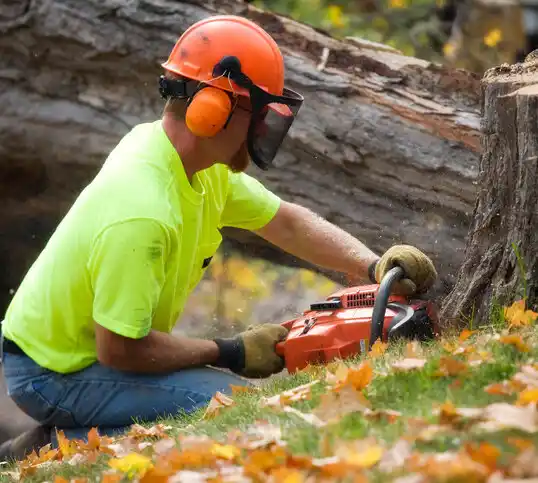 tree services Edneyville